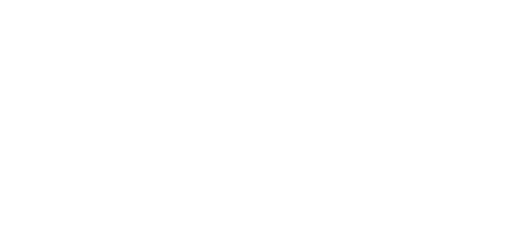N4_ Logo