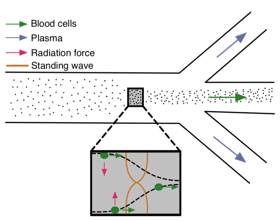 Image Separation Chip Working Principle